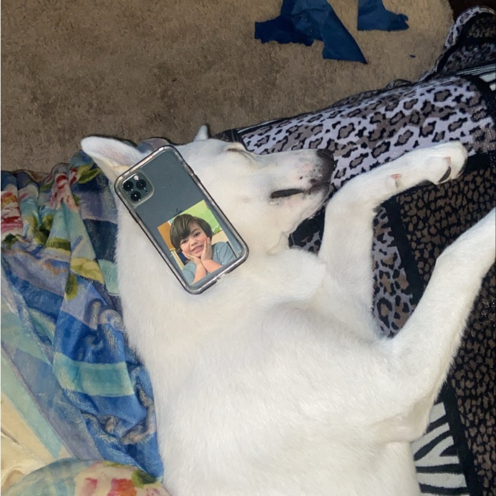 Meet your Posher, Azir